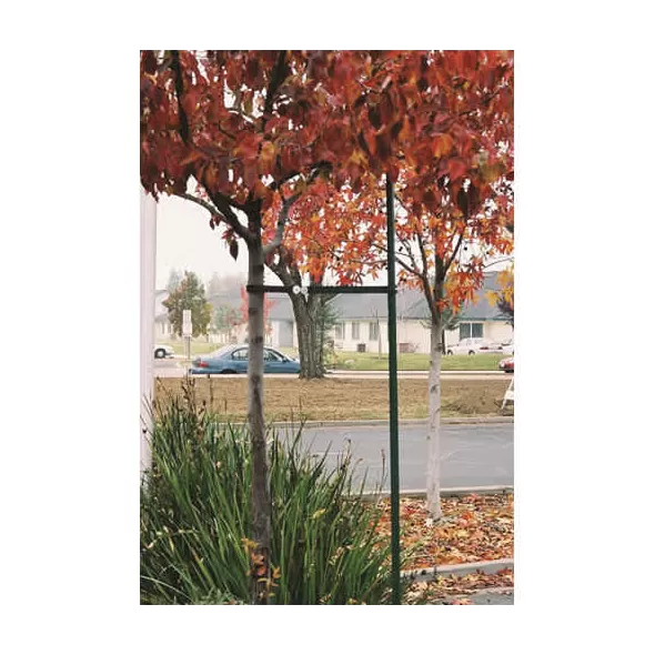 3/4" x 7' Dark Green Powder Coated Steel R2 Single Industry Standard Tree Staking System | REP101067