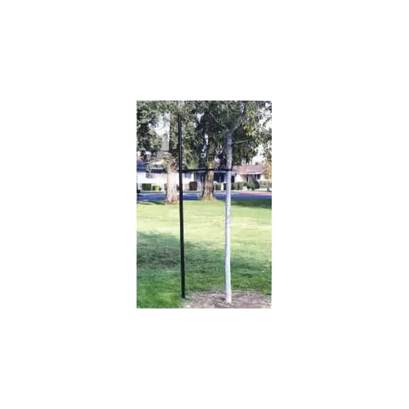 11' Black Powder Coated Steel Mega Single Industry Standard Tree Staking System | REP3090111