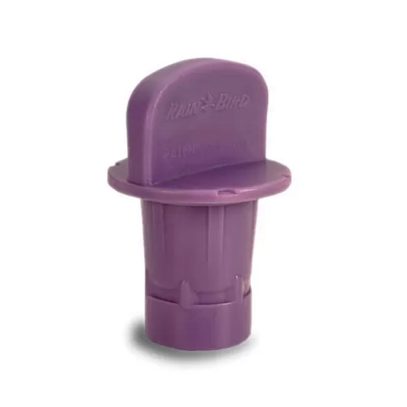 1/2" Flush Purple Plastic MDCFPCAP Series Removable Cap Adapter | RBLMDCFPCAP