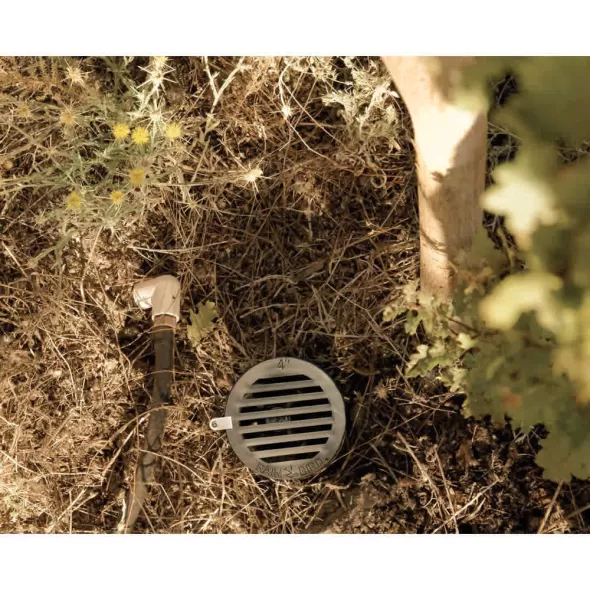 1/2" x 1/4" MNPT x Barb 0.5 gpm RWS Series Root with Check Valve Watering System | RBLRWSBC1402