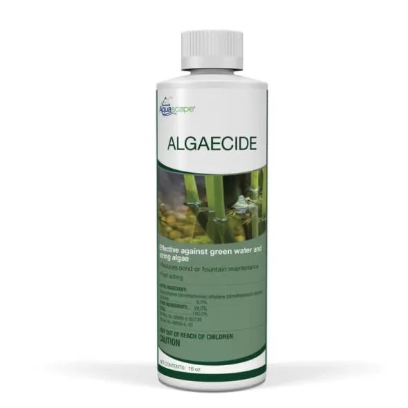 16 Oz Red Liquid Earthy Odor Algaecide | 96023