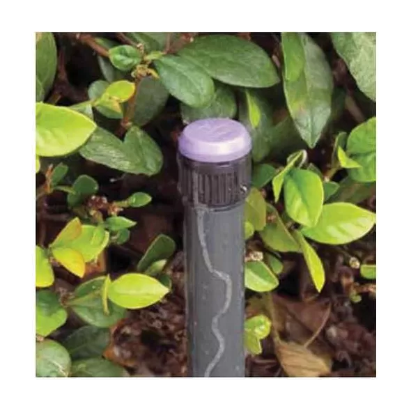 1/2" FIPT 2 gph Plastic Silicone Diaphragm Pressure Compensating Effluent Drip Bubbler | TOLLF20PCE
