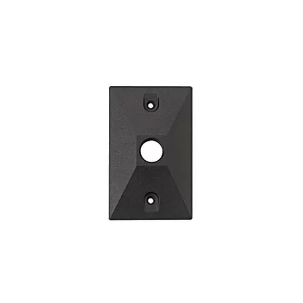 Architectural Bronze Die-Cast Copper-Free Aluminum Landscape Series WM-150 Model with 1/2" FPT Rectangle Wall Canopy | VISWM150Z