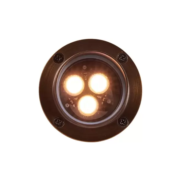 Alliance Outdoor Lighting Well Light, 5W, Brass | GL100-LED5W