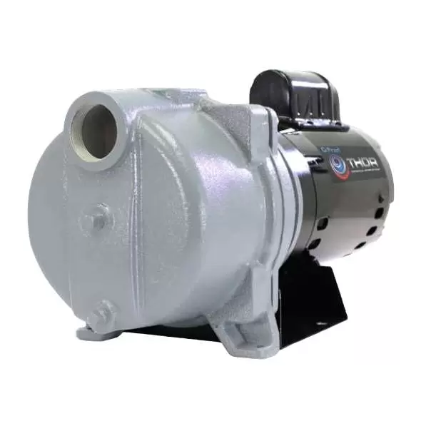 Pearl, Thor Centrifugal Sprinkler Water Pump, 1.5 hp 115/230 V | THOR15F16S
