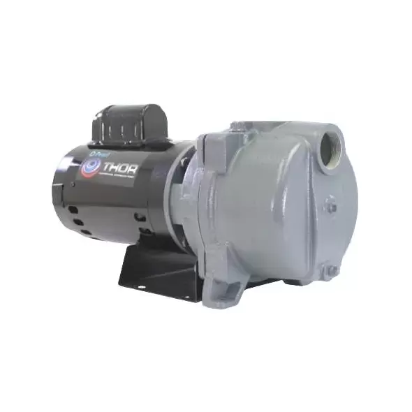 Pearl, Thor Centrifugal Sprinkler Water Pump, 1.5 hp 115/230 V | THOR15F16S