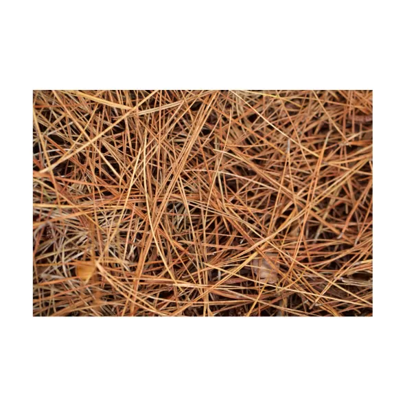 American Pine Straw | PSTRAWLONG