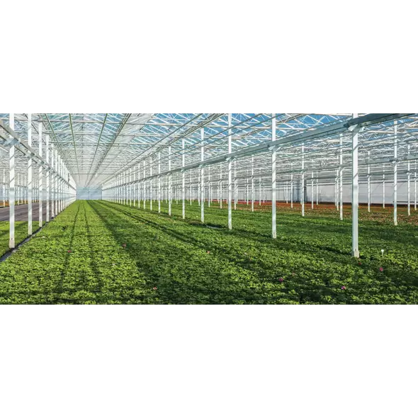 10 lb TM 4.5F Select, Broad Spectrum Systemic Fungicide