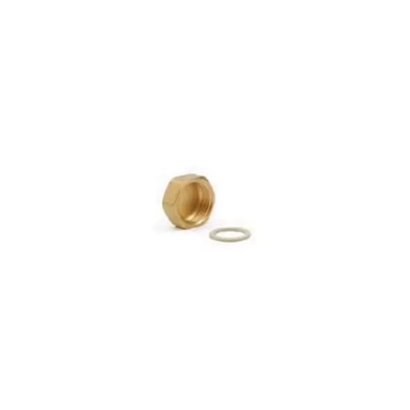 Brass R-20 Series Circuit Outlet Cap | RHU250209C