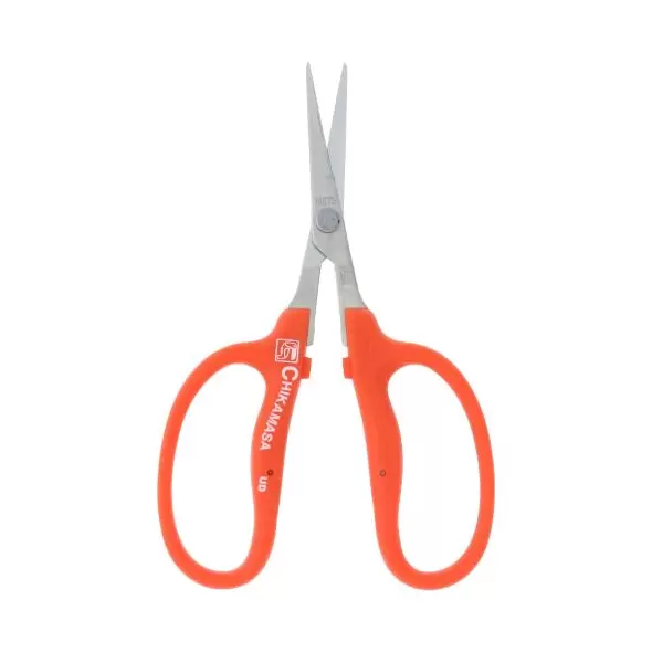 Chikamasa B-500SR (6/cs)