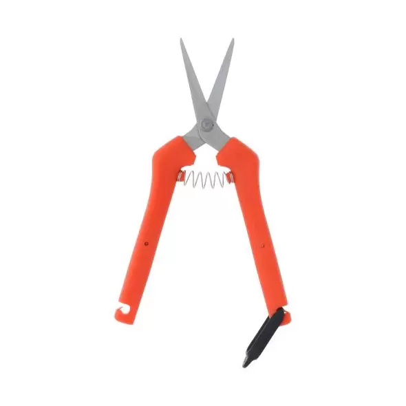 Chikamasa TP-500SR (6/cs)