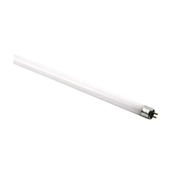 Spectralux T5 24 Watt HO Lamp 2 ft Blue 6500K (25/Cs)