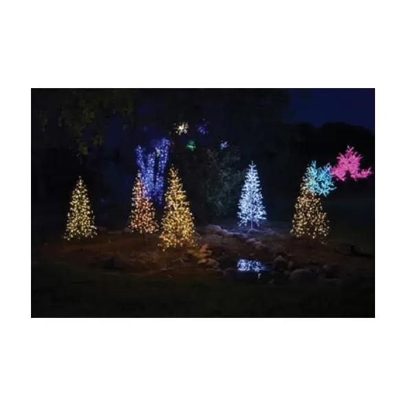 5.5' Champagne Strobe LED Birch Tree | HBLBRCHT55WPC