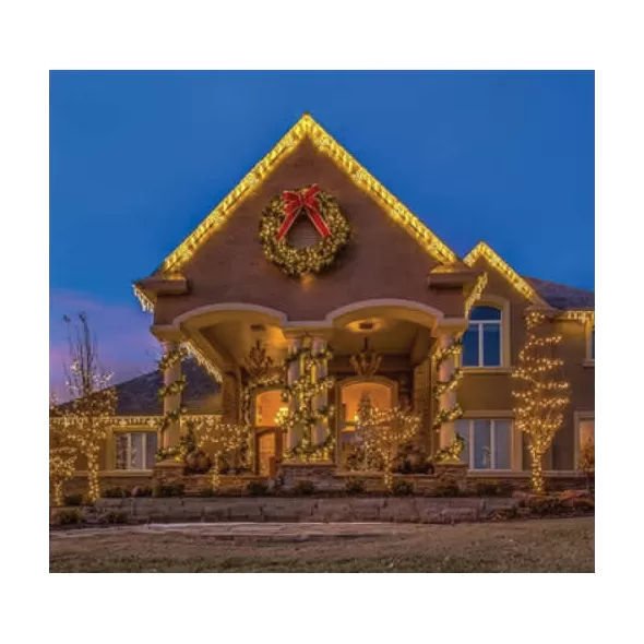 48" Red Velvet with Gold Trim Decorative Bow | BW-RGD-48