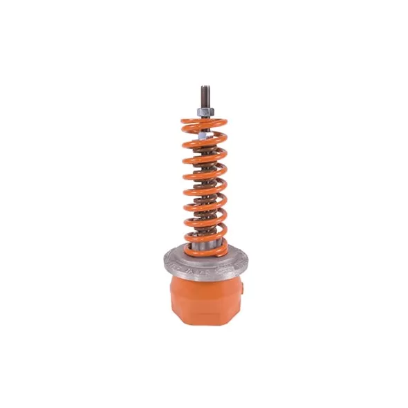 2" Threaded Cast Iron 11 - 120 psi 3100 Series Pressure Relief Valve | FVNF03122052