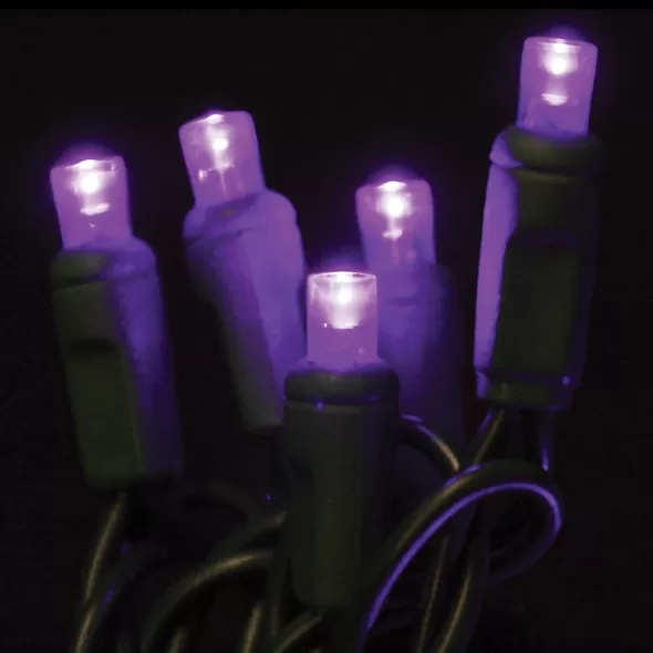 2.4 W per Set 26' Purple Commercial Grade LED Light Set | HBLLED5MM50PL