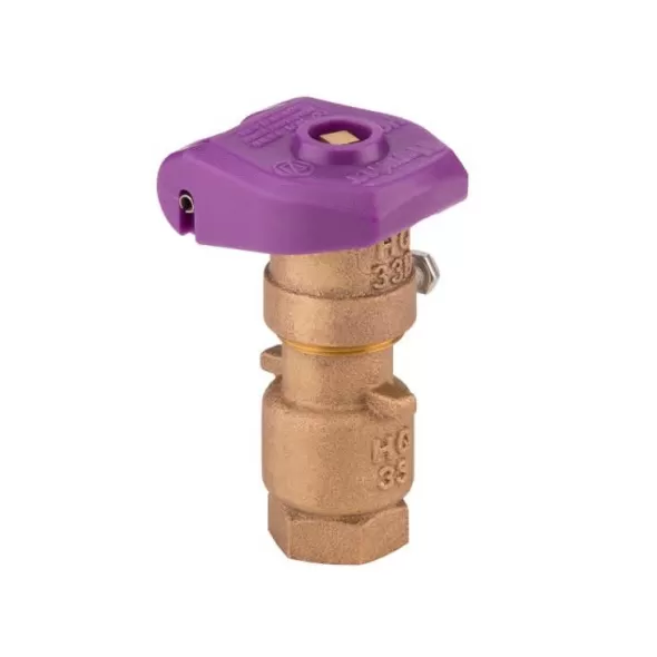 3/4" Female Threaded Red Brass/Stainless Steel 2-Piece Quick Coupling Valve | HTRHQ33DLRCR