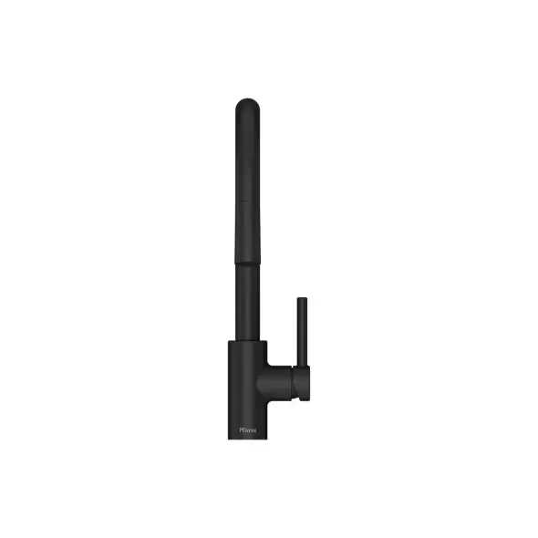 1/2" NPSM 16-3/8" Metal Matte Black 1-Handle Stellen Series Pull-Down Kitchen Faucet | PPFLG529SAB