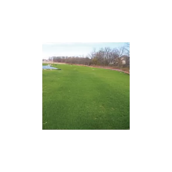 78" x 90' Green F4 Netless | PRFCFF7890GNTL