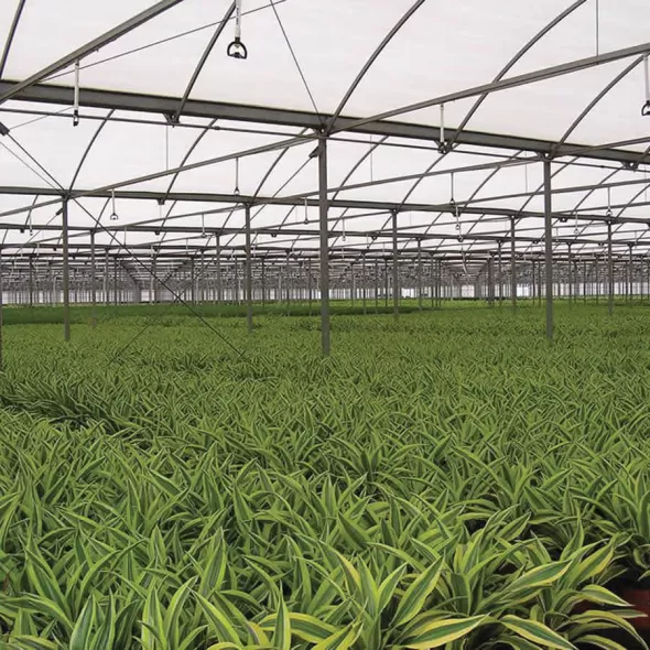 3.24 - 6.48 gpm Green with CVSM Pad Super Spray | SENSS120CVSM