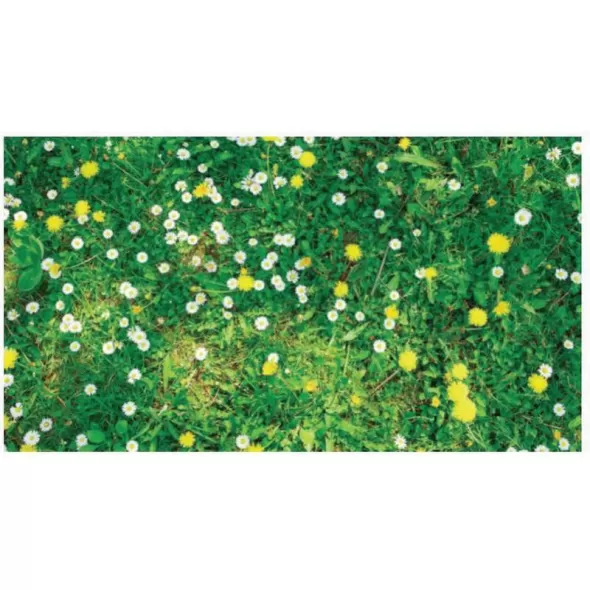 1 gal Triad SFZ Select Herbicide