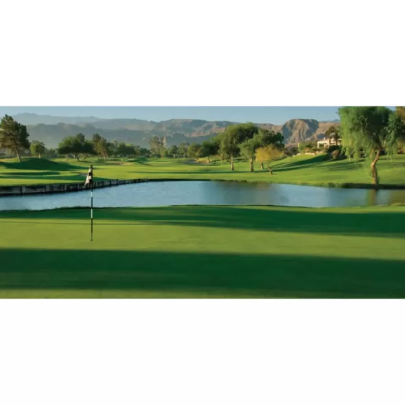 1 qt Liquid Green Pond Dye | SSCTURFMARKGQT