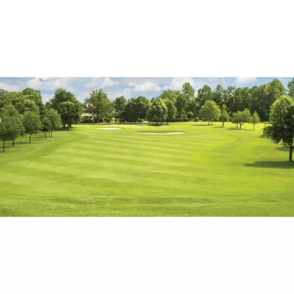 1 qt Liquid Blue Pond Dye | SSCTURFMARKBQT