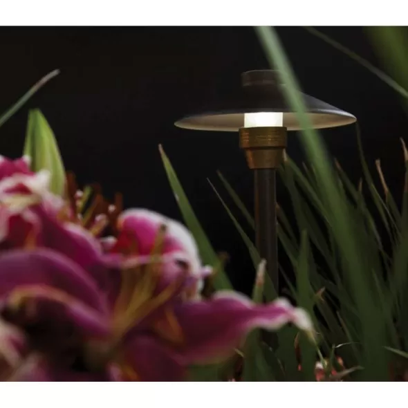 Weathered Bronze Solid Brass Centaurus 8 Odyssey Series Area Light | UNIC8NL
