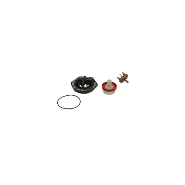 3/4" Freeze For 1/2 to 3/4" 420 and 420XL Pressure Vacuum Breakers Repair Kit | WLKRK12420FK