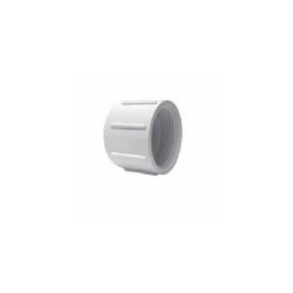 PVC Test Cap 1-1/4 in. Acme | G548012