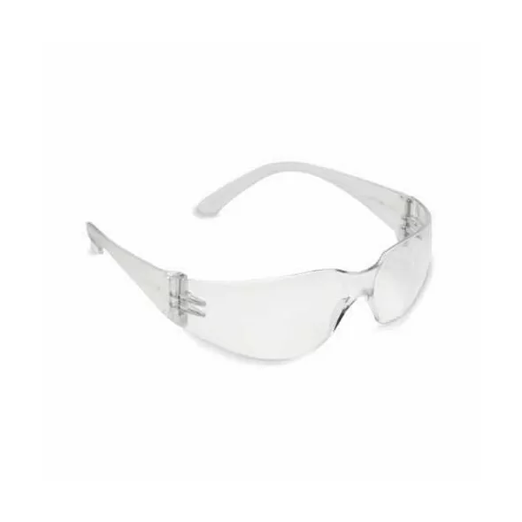 Safety Glasses, Clear Lens Economy