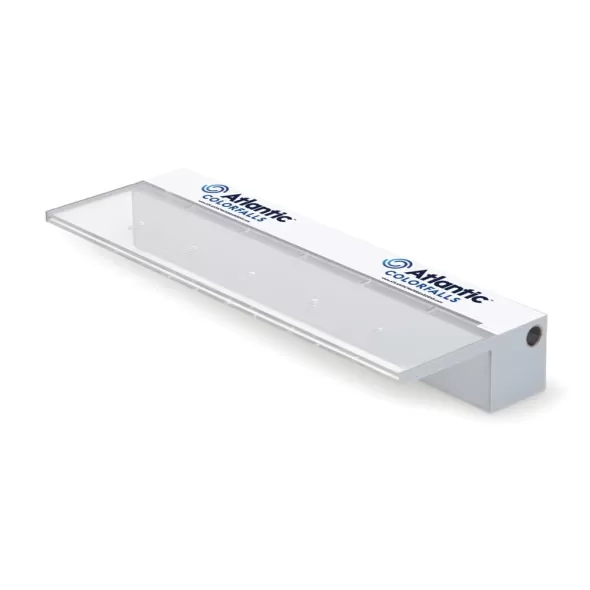 1-1/2" FIPT 24" x 8" x 3-1/2" 2000 gph Crystal White Colorfall | AWGCF24W