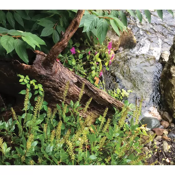 Waterfall Oasis Series Fastfall Fipt 16-1/2"x9-1/2"x7-1/4" 3000 Gph 16" W | SP1600