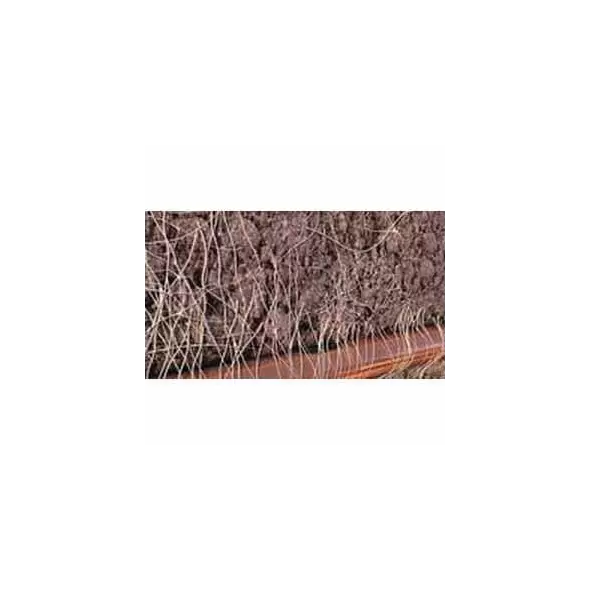 Rain Bird XFS Dripline 500' 0.92 gph 12" Emitter Spacing 16 mm Brown | X48032