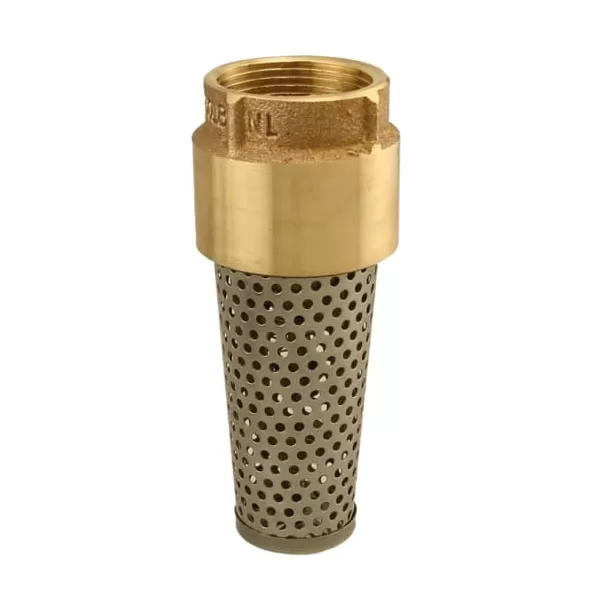 Boshart Industries Foot Valve 2" Nominal, FNPT End Style | 17YBFV200NL