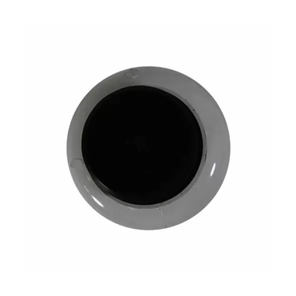 NDS Foot Valve 2" FPT H 11" ht H 5" | 1001-20FV