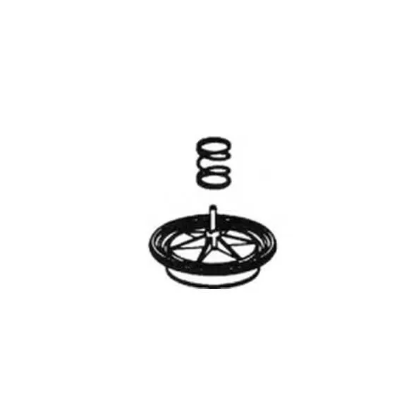 For 100P3 213P3 Valves Diaphragm Assembly | IRPR935001