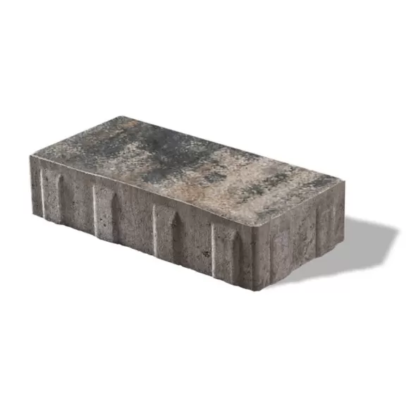 2-3/8" Fossil 3-Piece Treo Premier Random Bundle Paver | UNPTREORANFOS