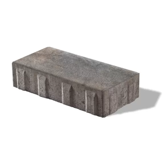 2-3/8" Fossil 3-Piece Treo Premier Random Bundle Paver | UNPTREORANFOS