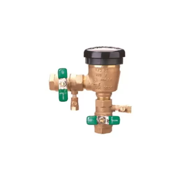 3/4" FNPT Lead-Free Bronze 175 psi 420XL Series Pressure Vacuum Breaker Assembly | WLK420XL007