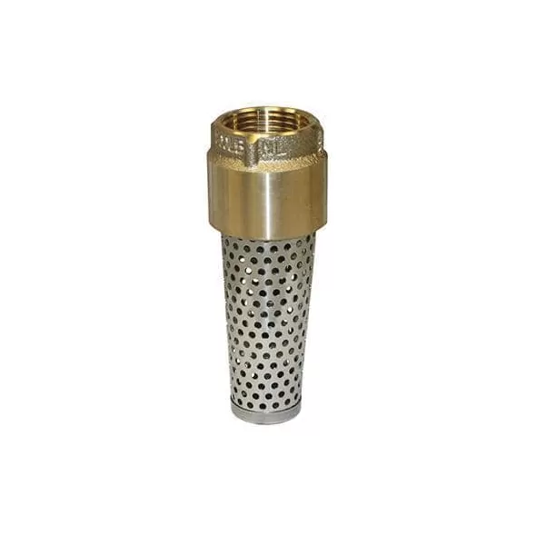 2" Brass 710 Series Lead-Free Foot Valve | MRLFVNL200