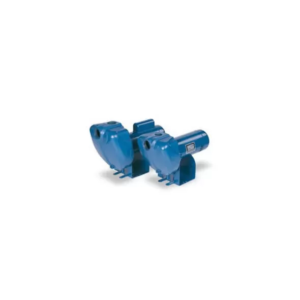 2-1/2 hp 115/230 V Medium Head DS3 Centrifugal Pump | PENDS3HHG01