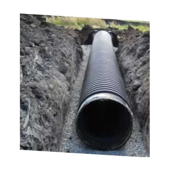 10" x 20'Bell End HDPE Perforated Dual Wall Pipe | DPE0801020AEP