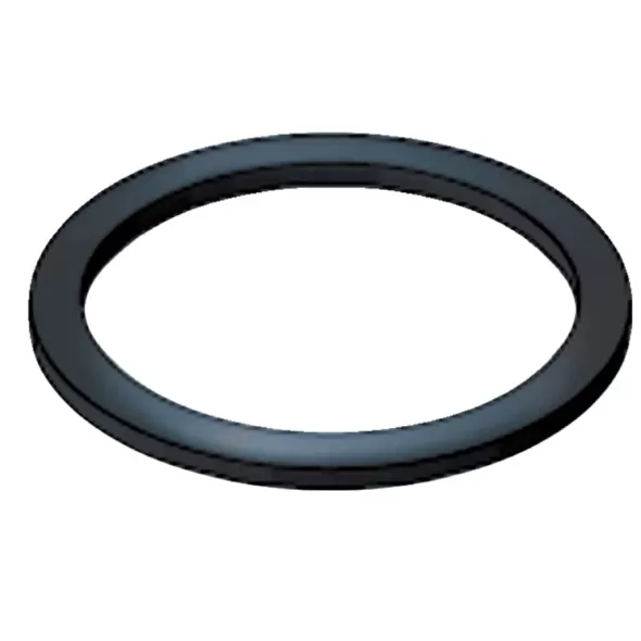 2" Buna-N Cam-Lock Gasket | CAMBUNA200