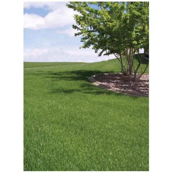 50 lb Bag 3-Way Blend Grass Seed 8 to 12 lb/1000 sq-ft Coverage