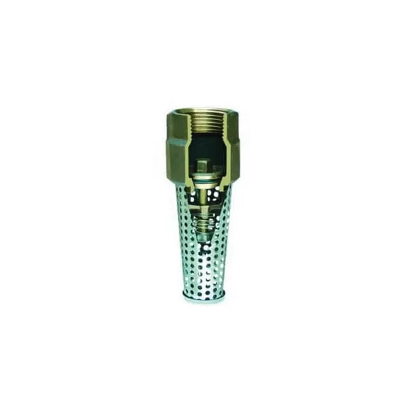 1-1/4" FNPT Lead-Free Cast Silicon Bronze 400 psi 400 SB Series Foot Valve | SIM404SB