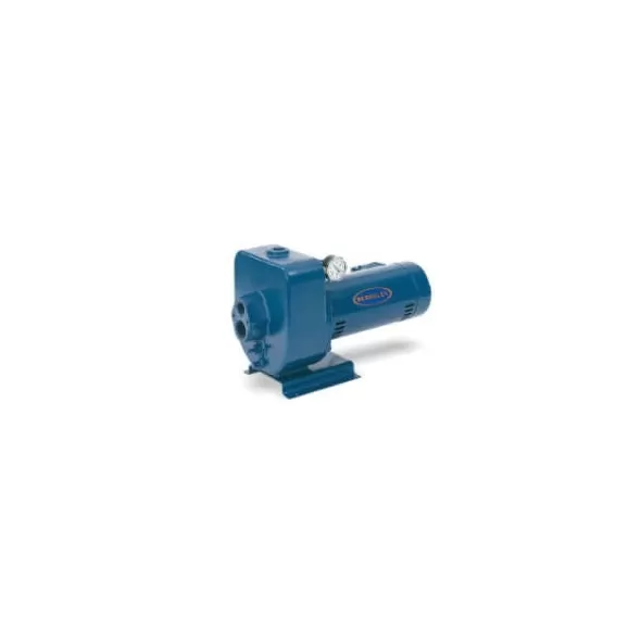 1-1/2 hp 230 V Horizontal Multi-Stage LT2 Series Jet Pump | BKYS40110MS1