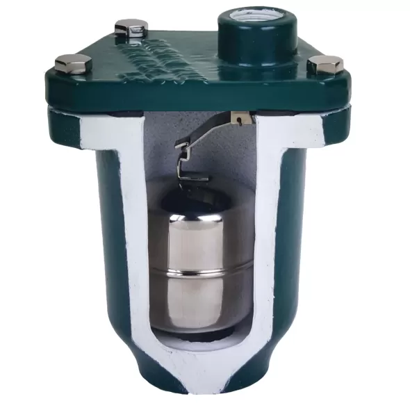1" x 1/2" NPT 300 psi Cast Iron AR Series Pressure Air Relief Valve | CRIAR10