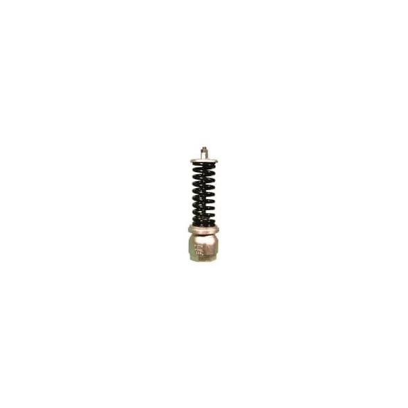 2" FPT Aluminum 11 - 120 psi AA-6 Series Fieldset Pressure Relief Valve | WTRAA6B2