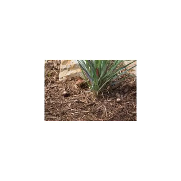 1/2" FPT 7 gpm Brown Irrigation Hose Riser | HTRIHRISER06